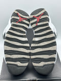 Air Jordan 10 Retro Steel (2013) (WORN)