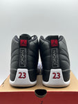 Air Jordan 12 Retro Playoffs (2022) (WORN)