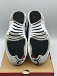 Air Jordan 12 Retro Playoffs (2022) (WORN)