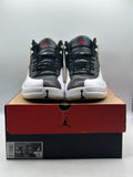 Air Jordan 12 Retro Playoffs (2022) (WORN)