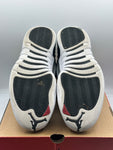 Air Jordan 12 Retro Playoffs (2022) (WORN)