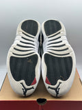 Air Jordan 12 Retro Playoffs (2022) (WORN)