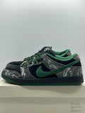 Nike SB Dunk Low There Skateboards (WORN)