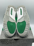 Air Jordan 3 Retro Pine Green (WORN)