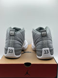 Air Jordan 12 Retro Stealth (WORN)
