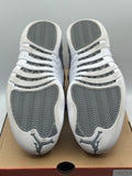 Air Jordan 12 Retro Stealth (WORN)