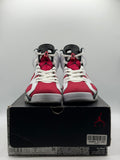 Air Jordan 6 Retro Carmine (2021) (WORN)