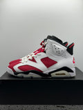 Air Jordan 6 Retro Carmine (2021) (WORN)