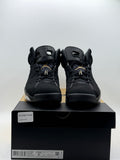 Air Jordan 6 Retro DMP (2020) (WORN)