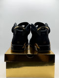 Air Jordan 6 Retro DMP (2020) (WORN)