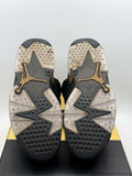 Air Jordan 6 Retro DMP (2020) (WORN)