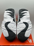 Nike Air Diamond Turf Proto '92 Atlanta Falcons (WORN)