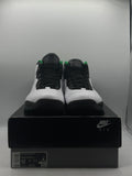 Air Jordan 10 Retro Seattle (WORN)
