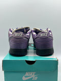 Nike SB Dunk Low Concepts Purple Lobster (WORN)