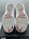 Air Jordan 12 Retro FIBA (2019) (WORN)
