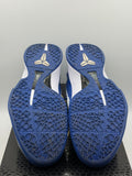 Nike Kobe 6 Protro Dodgers (WORN)