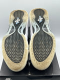 Nike Air Foamposite One Penny PE (WORN)