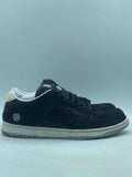 Nike SB Dunk Low Medicom Toy (2020) (WORN/NO BOX)