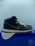 Nike SB Dunk High Guiness (WORN)