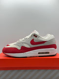 Nike Air Max 1 Anniversary Red (WORN)