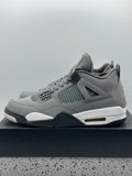 Air Jordan 4 Retro Cool Grey (2019) (WORN)