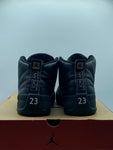 Air Jordan 12 Retro The Master (WORN)