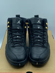 Air Jordan 12 Retro The Master (WORN)
