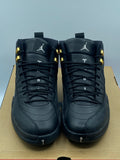 Air Jordan 12 Retro The Master (WORN)