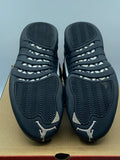 Air Jordan 12 Retro The Master (WORN)