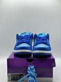 Nike SB Dunk Low Blue Raspberry (WORN)
