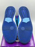 Nike SB Dunk Low Blue Raspberry (WORN)