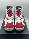 Air Jordan 6 Retro Carmine (2021) (WORN)