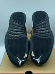 Air Jordan 12 Retro Royalty Taxi (WORN)