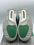 Air Jordan 3 Retro Pine Green (WORN)