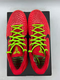 Nike Kobe 6 Protro Reverse Grinch (WORN)