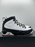 Air Jordan 9 Retro OG (2016) (WORN)