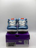 Nike SB Dunk Low Pro Why So Sad? (WORN)