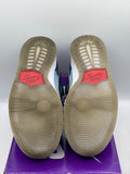 Nike SB Dunk Low Pro Why So Sad? (WORN)