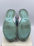 Nike SB Dunk Low Futura Laboratories Bleached Aqua (WORN)