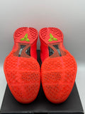 Nike Kobe 6 Protro Reverse Grinch (WORN)