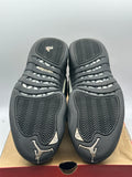 Air Jordan 12 Retro The Master (WORN)