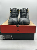 Air Jordan 12 Retro The Master (WORN)