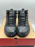 Air Jordan 12 Retro The Master (WORN)