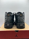 Air Jordan 12 Retro The Master (WORN)