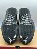Air Jordan 12 Retro The Master (WORN)