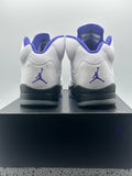 Air Jordan 5 Retro Dark Concord (WORN)