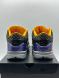 Nike Kobe 4 Protro Carpe Diem (WORN)