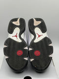 Air Jordan 14 Retro Black Toe (2024) (WORN)