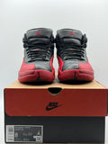 Air Jordan 12 Retro Flu Game (2025) (WORN)