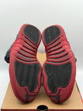 Air Jordan 12 Retro Flu Game (2025) (WORN)